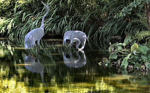 Japanese Tea Garden, Golden Gate Park